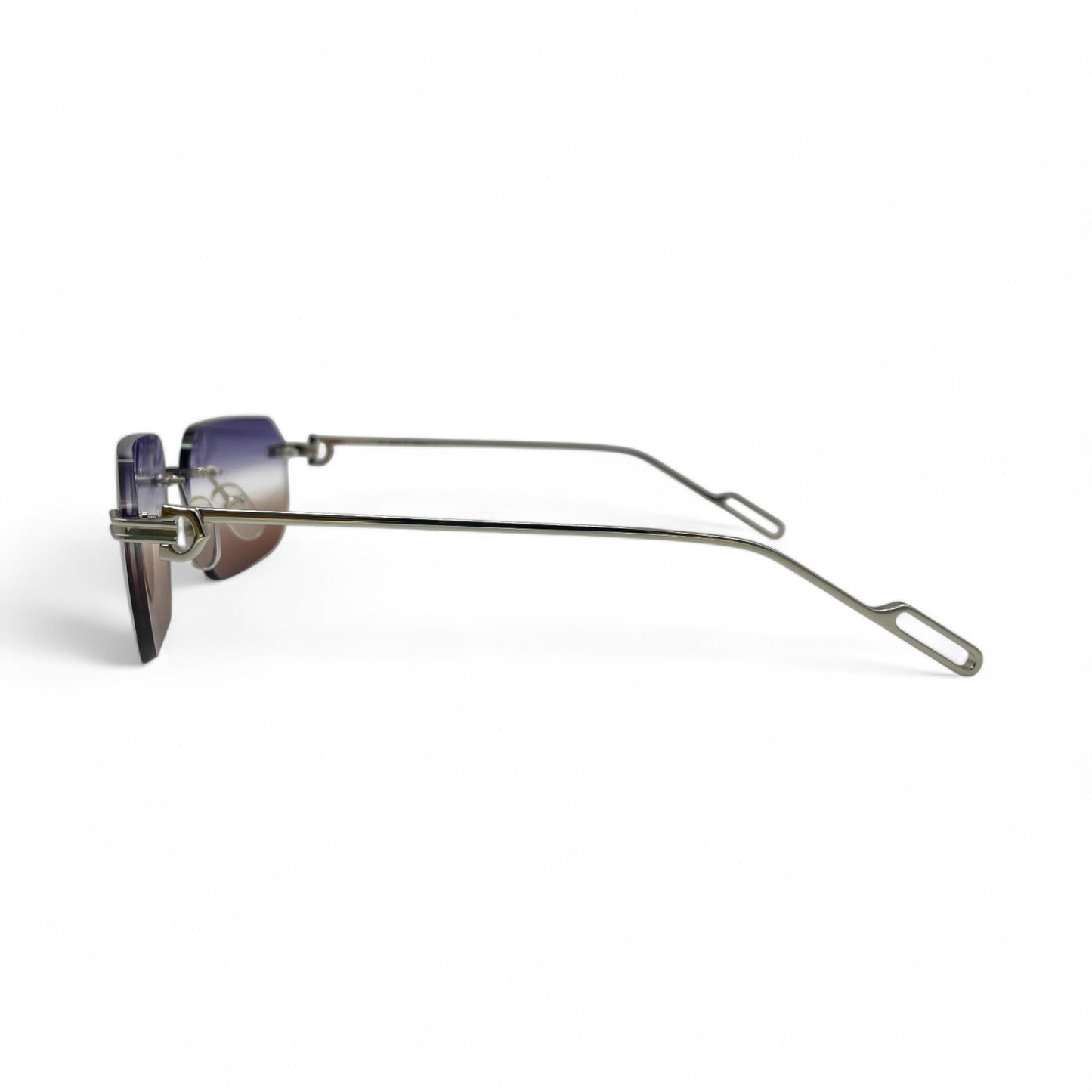 CT0113O Premiere - C Decor Wires Sunglasses/Eyeglasses