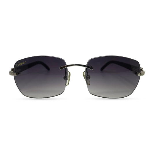 C Decor Buffs - Silver Black Genuine Horn Sunglasses (2010s)
