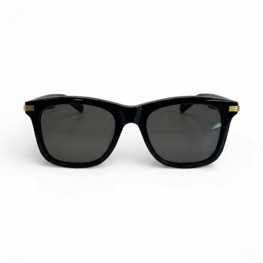 CT0396S Premiere Sunglasses | 53-20 Square Composites (2023) - Luxury Optical