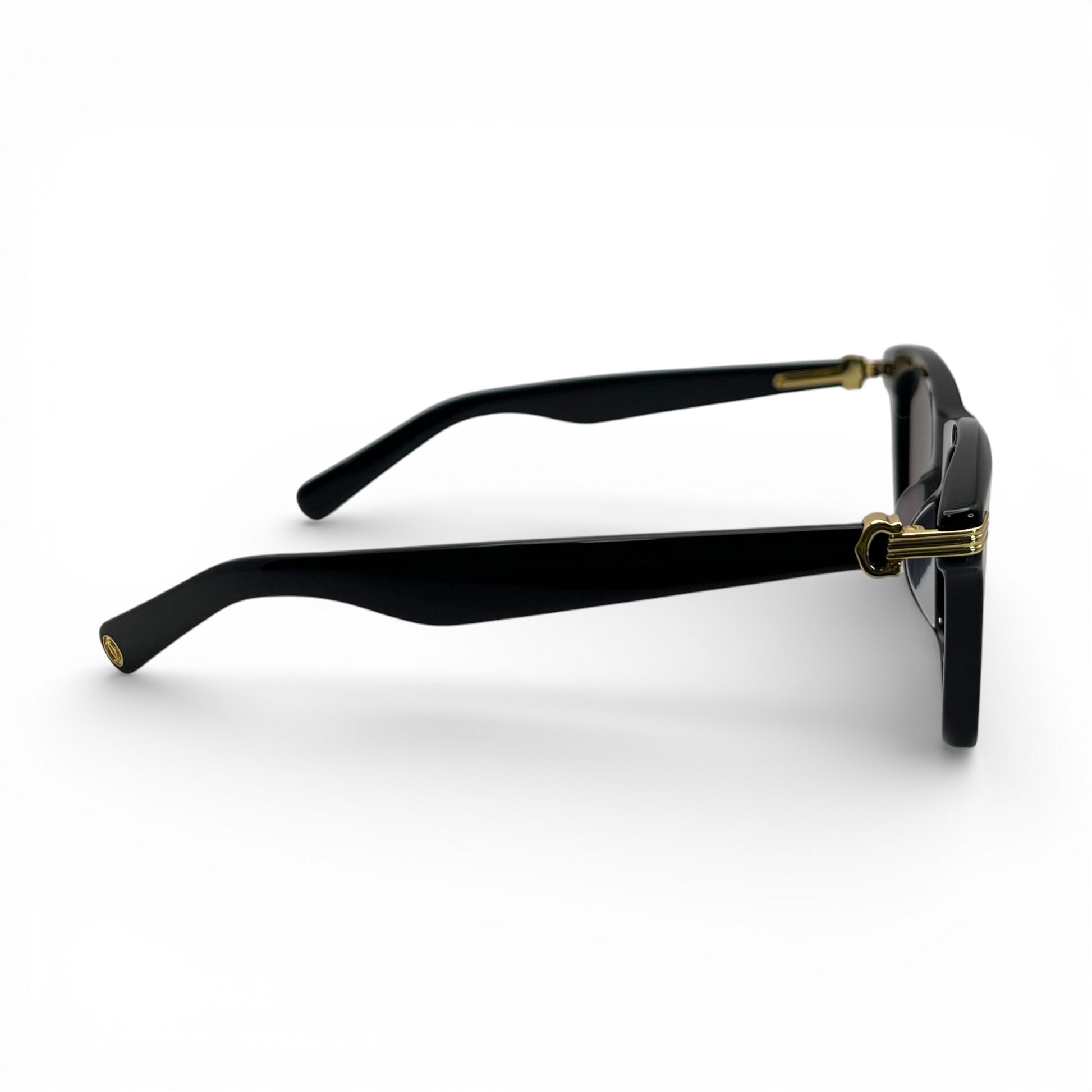 CT0396S Premiere Sunglasses | 53-20 Square Composites (2023) - Luxury Optical