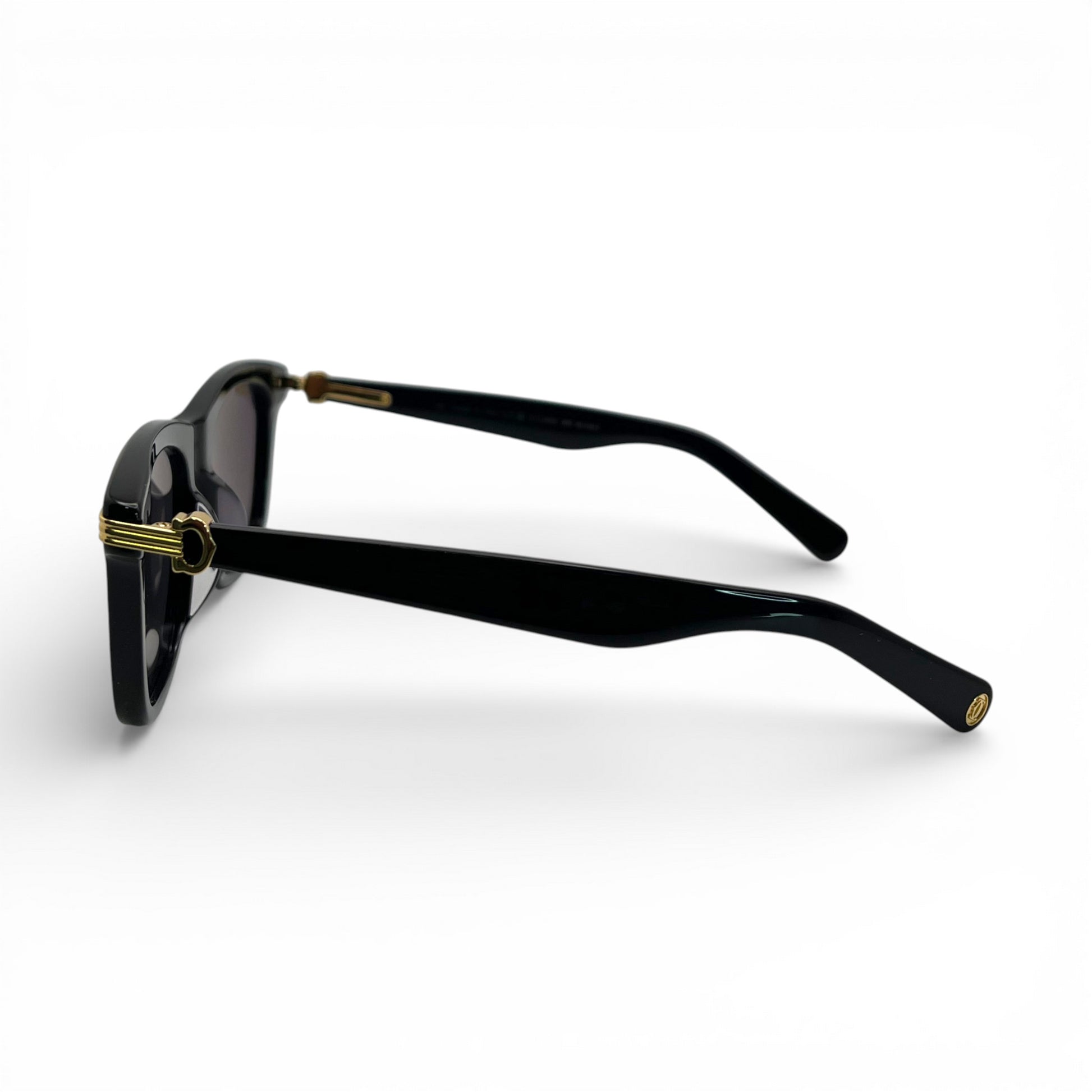 CT0396S Premiere Sunglasses | 53-20 Square Composites (2023) - Luxury Optical