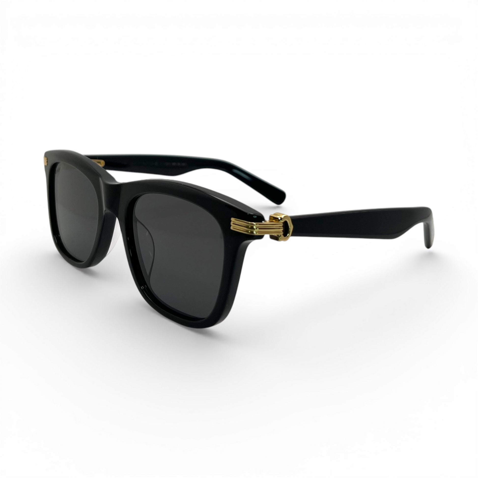 CT0396S Premiere Sunglasses | 53-20 Square Composites (2023) - Luxury Optical